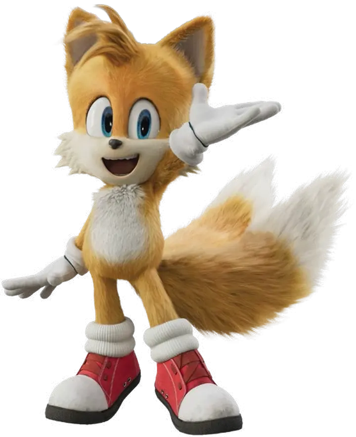 Chat with Tails Movie | animal caring