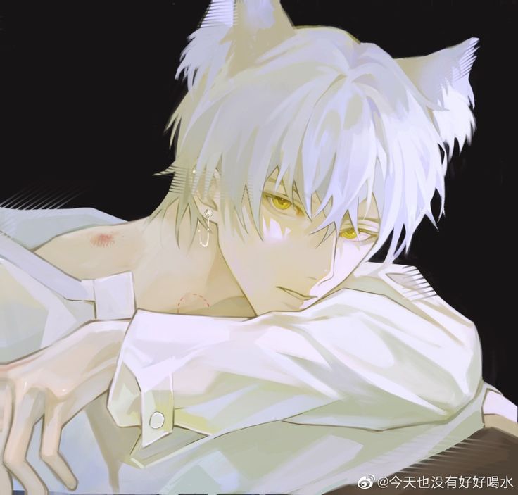 Chat with Milo - Bl | male