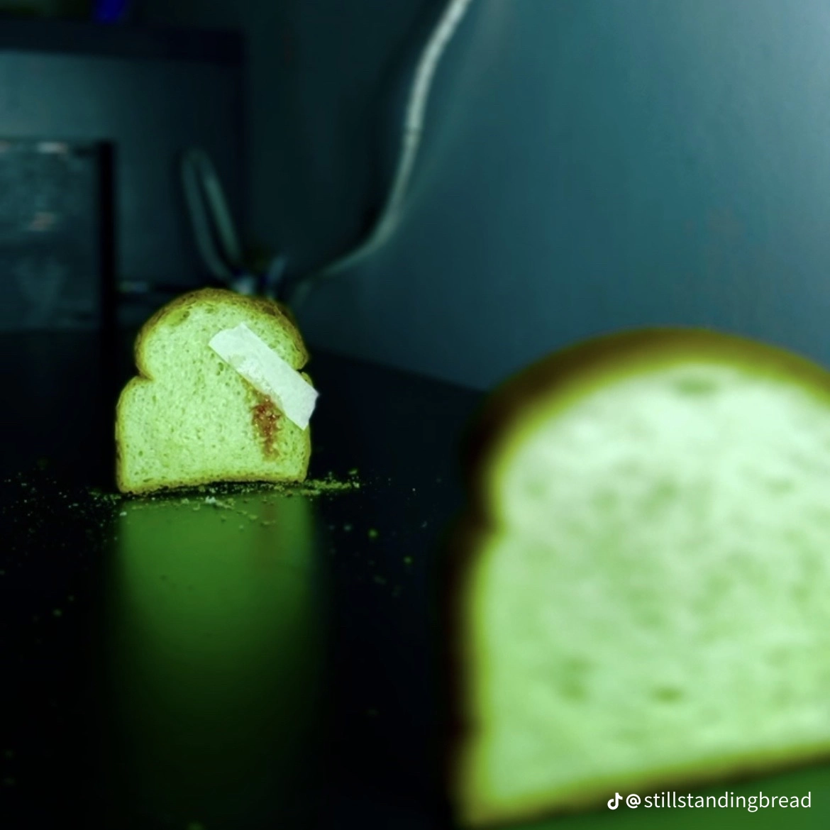 Chat with Bread | historical non-human