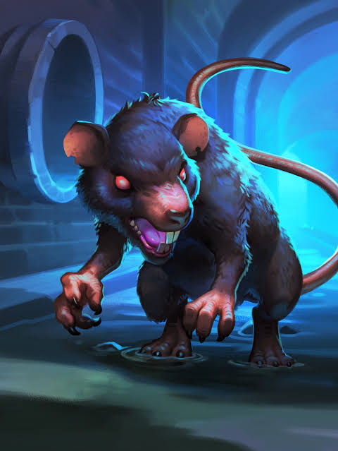 Chat with Big Rat | animal action