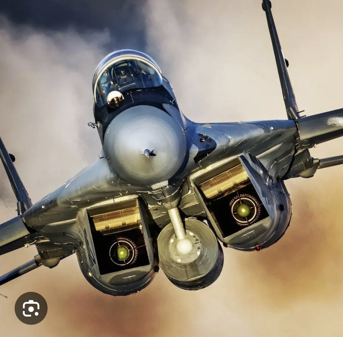 Chat with MiG 29 Fulcrum | assistant non-human