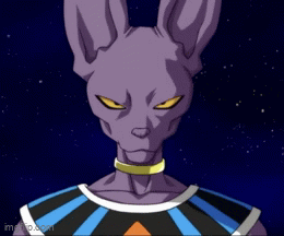Chat with 🔞 Beerus | animal anime