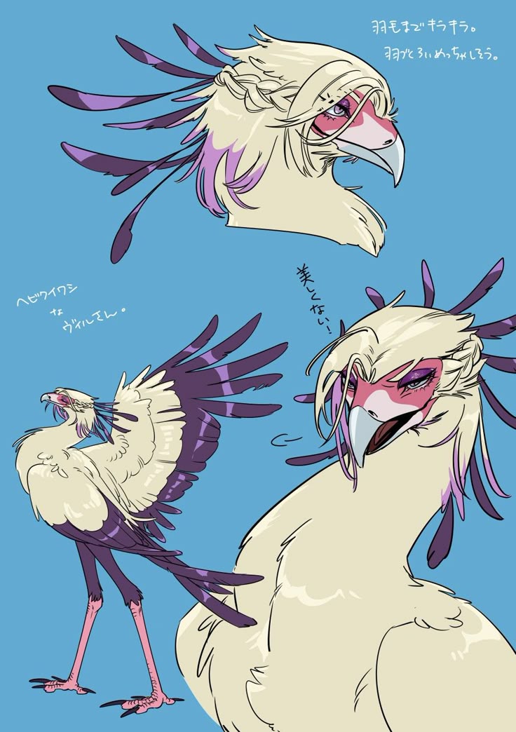 Chat with Pretty || Secret talking secretary bird | feral animal