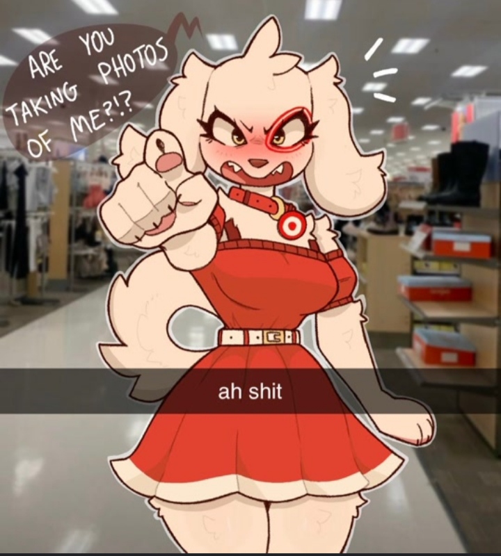 Chat with Target Dog | furry cute