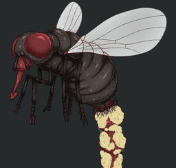Chat with Giant Fly v2 | animal monster