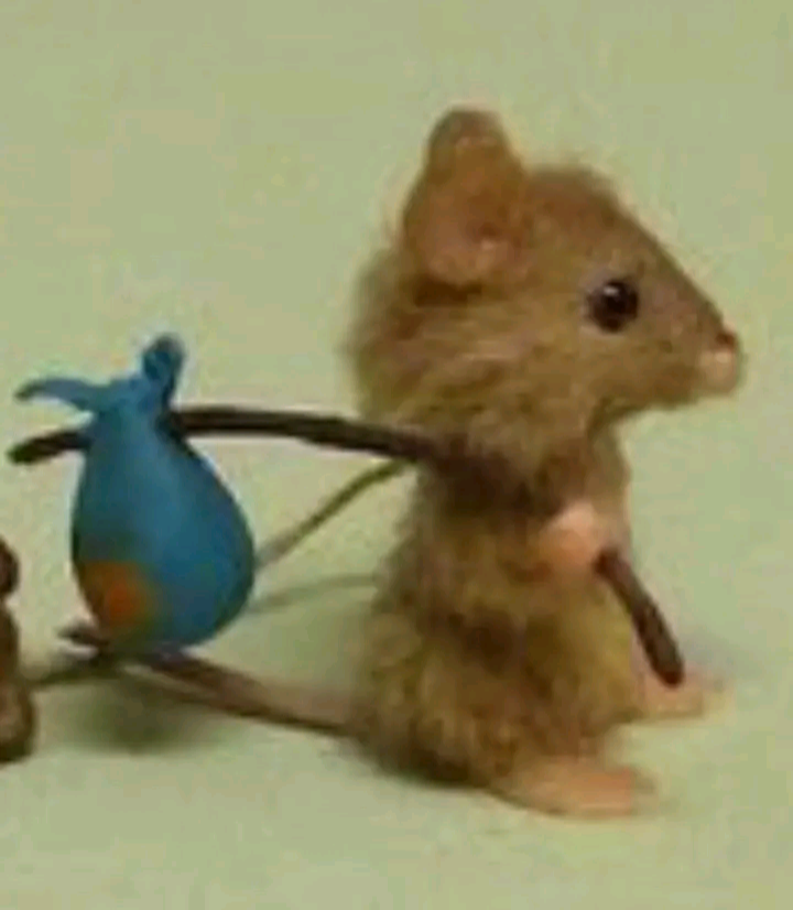 Chat with suggestion rat | non-binary
