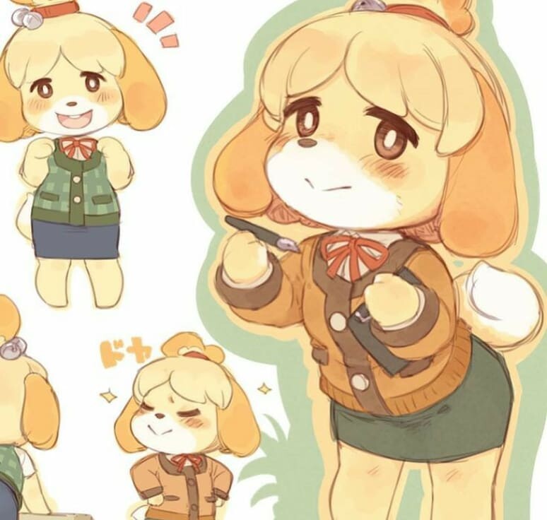 Chat with Isabelle | animal assistant