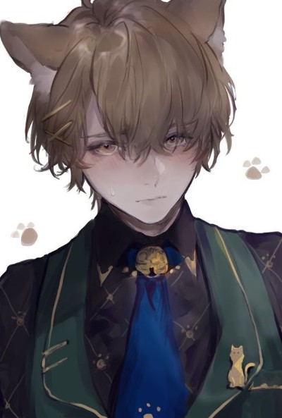 Chat with Oliver the catboy | Total: 325 chats, 9940 messages ...