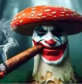 Champi Joker - NSFW Character AI Chat - action